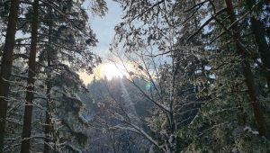 Winter 1